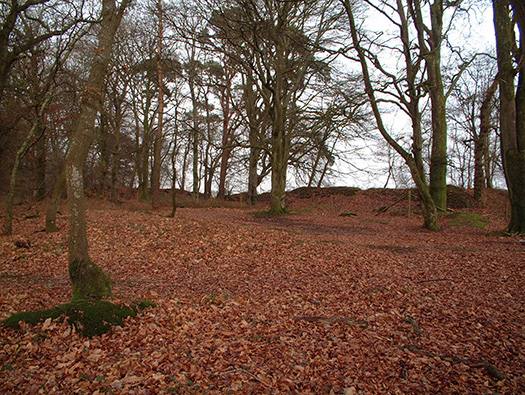 RAF Warmwell Airfield Site