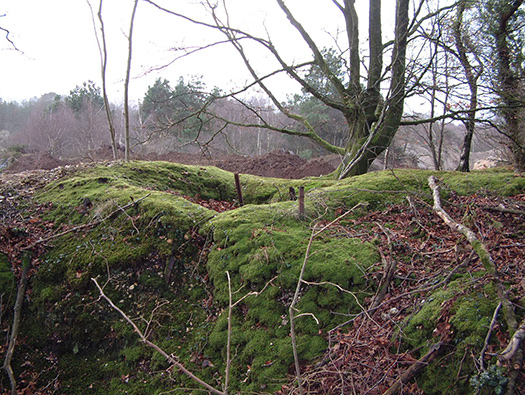 RAF Warmwell Airfield Site