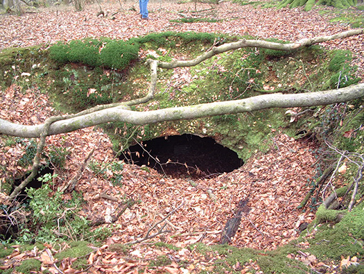 RAF Warmwell Airfield Site