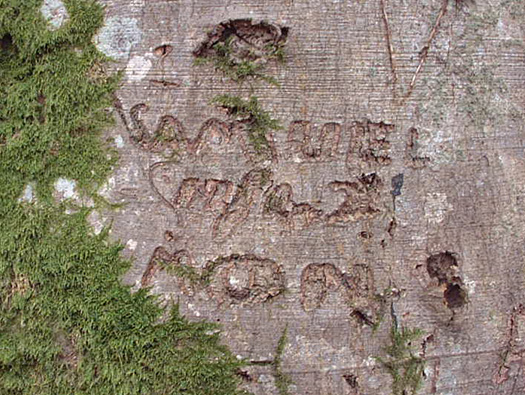 RAF Warmwell Airfield Site