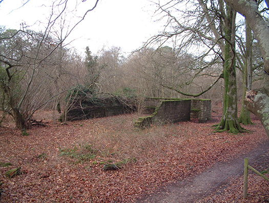 RAF Warmwell Airfield Site