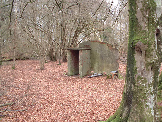 RAF Warmwell Airfield Site