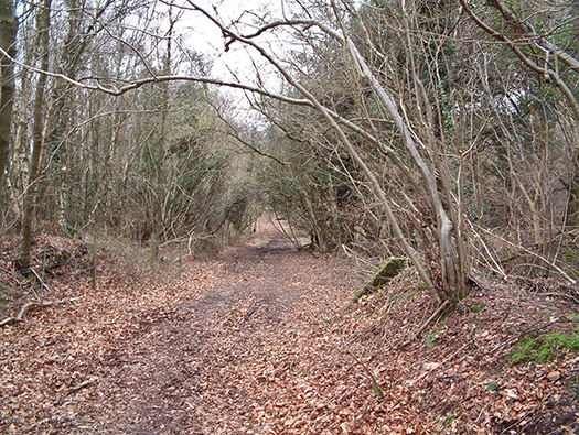 RAF Warmwell Airfield Site