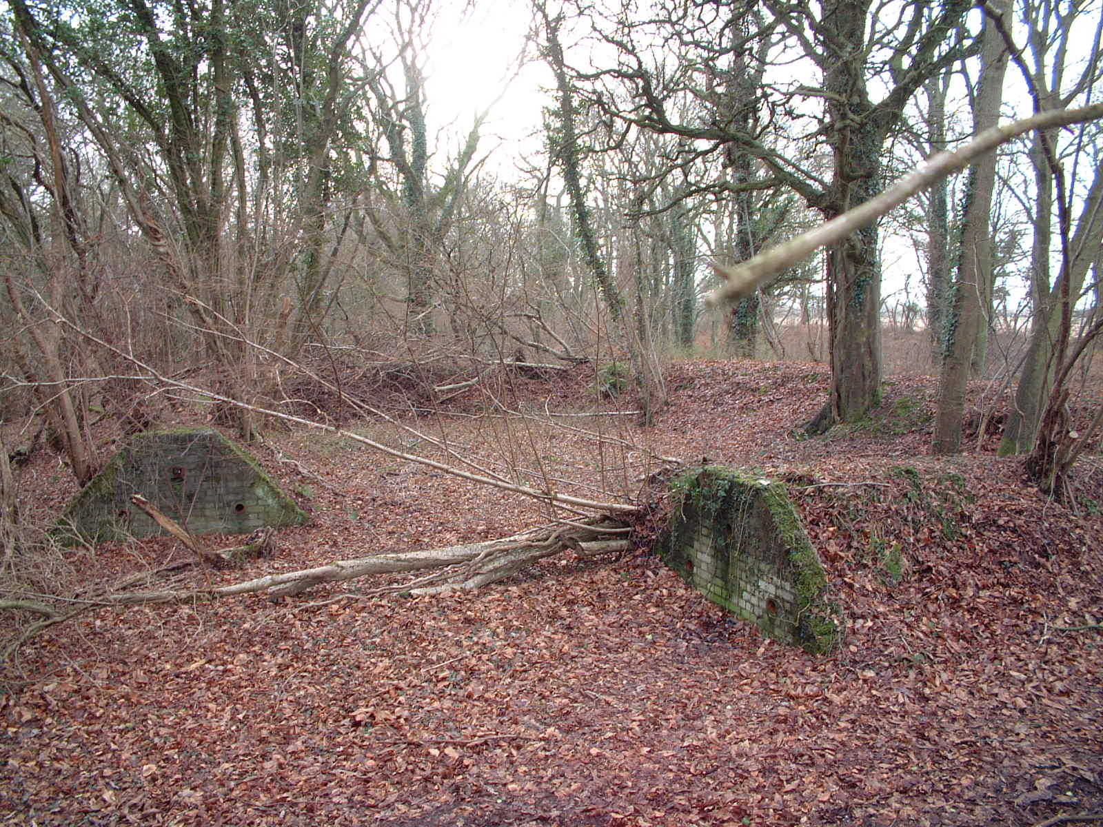 RAF Warmwell Airfield Site