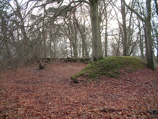 RAF Warmwell Airfield Site