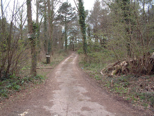 RAF Warmwell communal sites too the south.