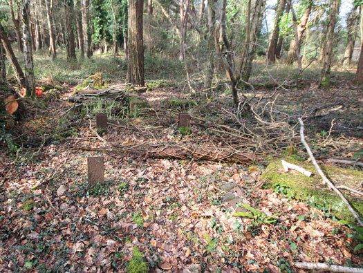 RAF Warmwell communal sites too the south.