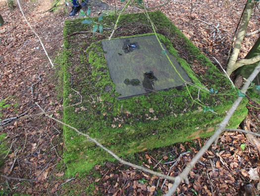 RAF Warmwell communal sites too the south.