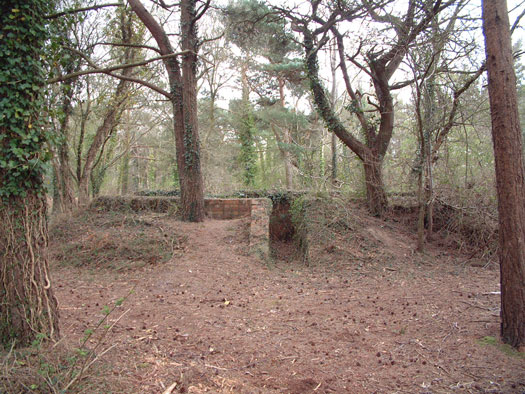 RAF Warmwell communal sites too the south.