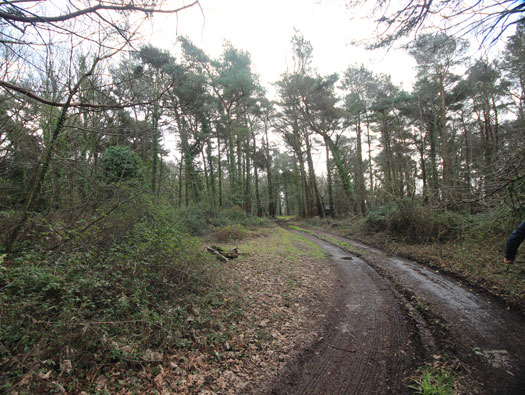 RAF Warmwell communal sites too the south.