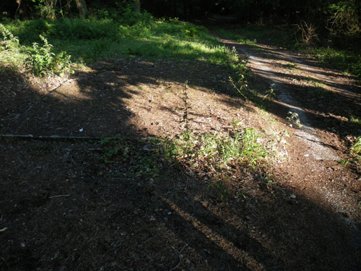 RAF Warmwell communal sites too the south.