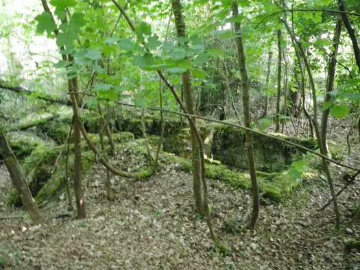 RAF Warmwell communal sites too the south.