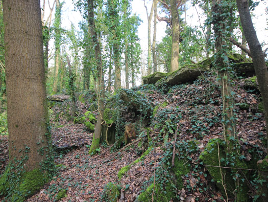 RAF Warmwell communal sites too the south.