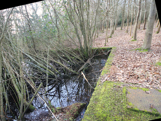 RAF Warmwell communal sites too the south.