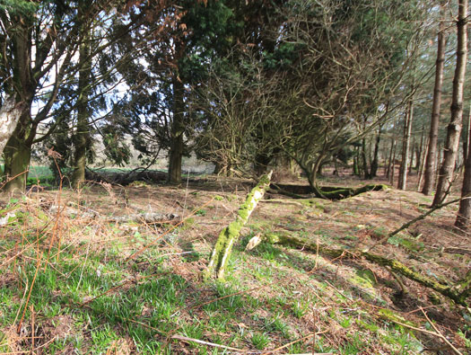 RAF Warmwell communal sites too the south.