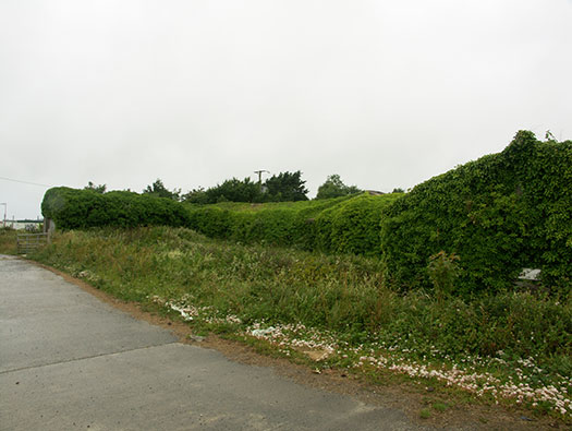 RNAS St Merryn, HMS Vulture