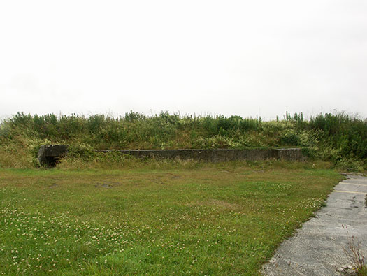 RNAS St Merryn, HMS Vulture