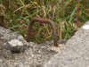 Camouflage netting fittings. I looked at my photos of Crail's Ops. Block.. and it has exactly the same hook in place.