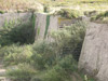One of the sets of steps.