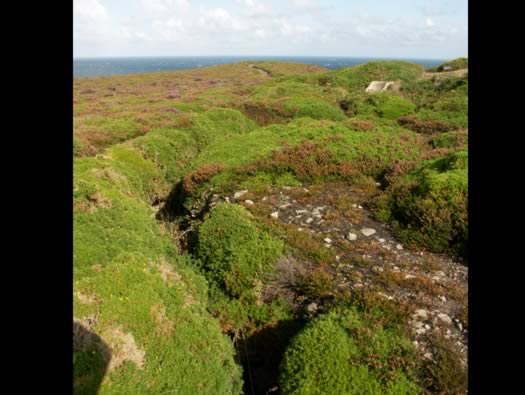 La318 Cap Frehel Pointe du Jas.