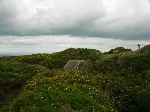 Section La318 Cap Frehel Pointe du Jas.