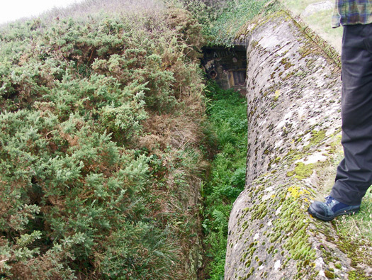 La318 Cap Frehel Pointe du Jas.