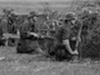 Image Caption