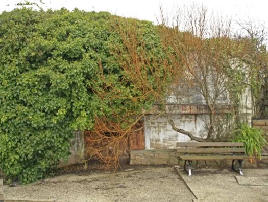 Mo94 Roscoff pointe de Bloscan.