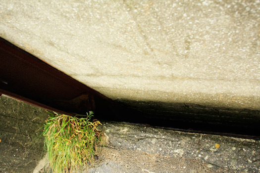 Mo94 Roscoff pointe de Bloscan.