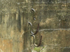 Telephone insulter’s arms.