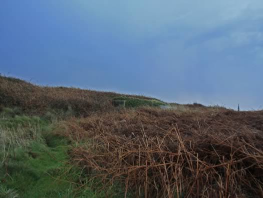 H635 Twin Group Bunker