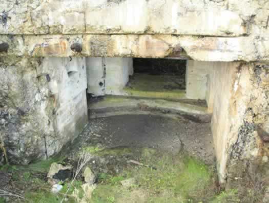 The Gun Room