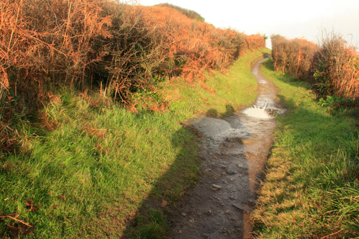 Trenches on the Peninsula