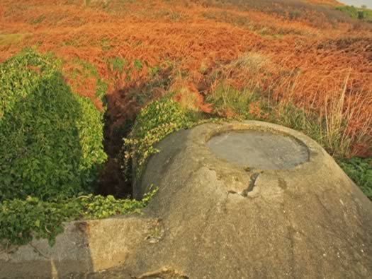 Trenches and Bunker Access