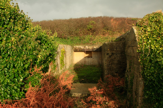 R628 Bunker Protection Plates