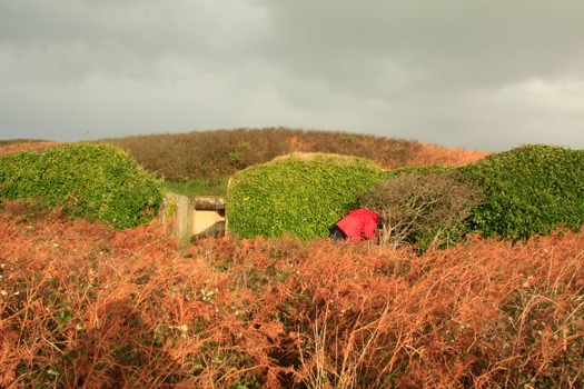 Pair of R628 Bunkers on the Pointe