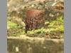 One of the long bolts that would have held the roof on.
