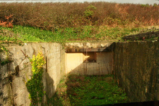 Gun Emplacement Details