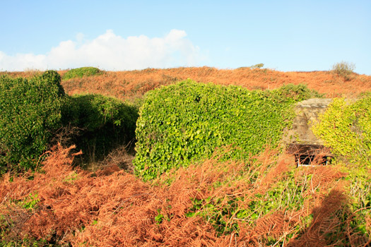 7.5cm Anti-Tank Gun Position