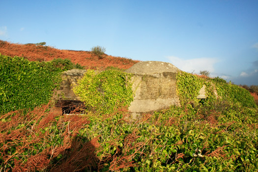 R601 Bunkers and Tobruk Variations