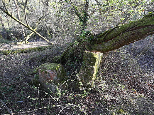 RAF Stoney Cross,
USAAF Station 452, Hampshire, 
Technical, Communal Site 1, Sites,1, 2 & WAAF