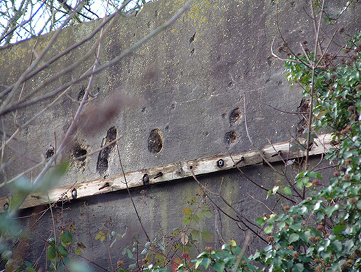 RAF Warmwell Airfield Site