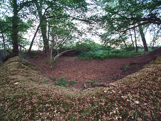 RAF Warmwell Airfield Site