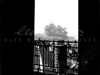 The lovely Lee Millers photo of the bombing