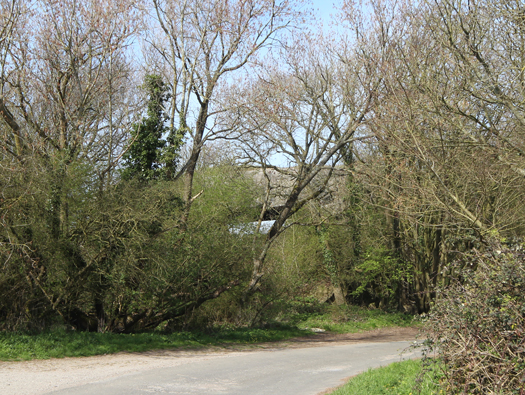 StP166 M.K.B. Todt
Todt 3