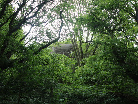 StP166 M.K.B. Todt Turm 2