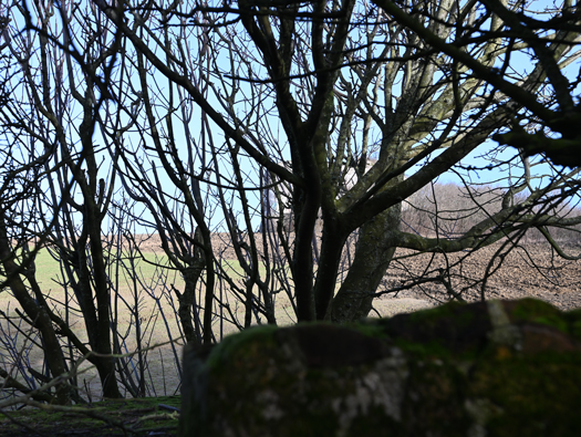 StP166 M.K.B. Todt
Turm 4