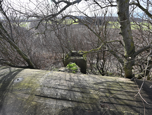 StP166 M.K.B. Todt
Turm 4