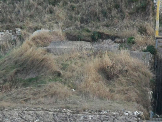 Fe09 Côte de la Vierge