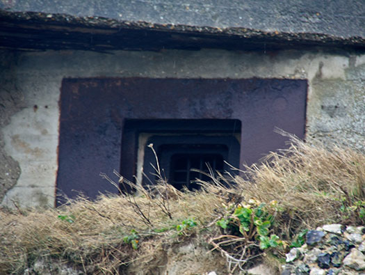 Fe09 Côte de la Vierge